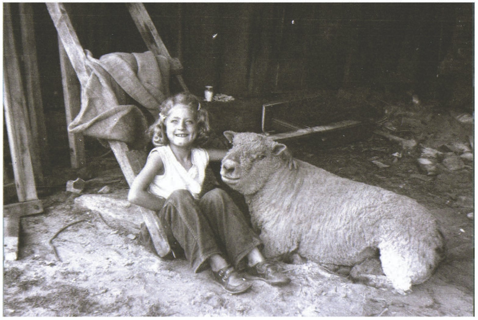 Carol with Jackie The Ram at our “Round Mountain Farm” in West Brattleboro, Vermont, 1956